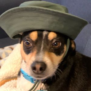 Meet your Posher, Margot